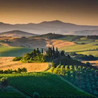 Toscana Enogastronómica